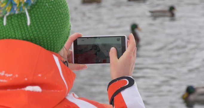 Woman photographing ducks in winter pond on her phone