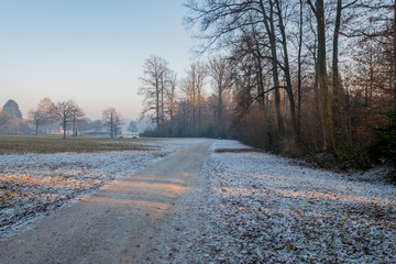 Park area with trees in front of Castle Solitude in Stuttgart in