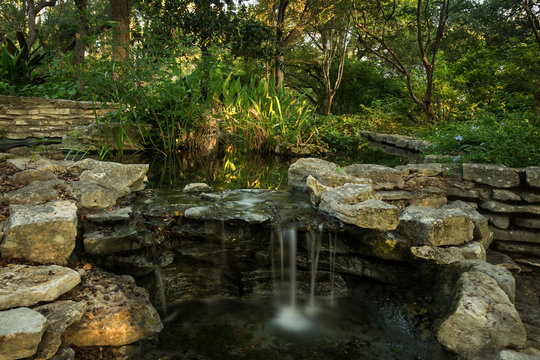 Upper pond at Zilker Gardens, Austin, TX