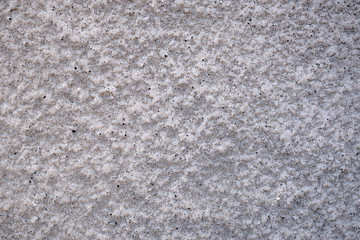 Texture of grey cement plaster