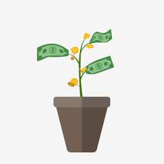 Money tree illustration