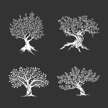 Olive trees silhouette icon set isolated on dark background