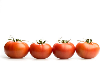 Four realistic red tomatoes in a line isolated in white background 