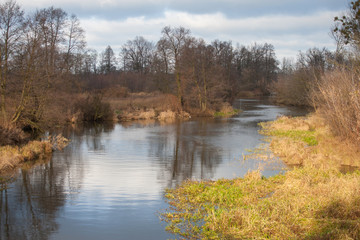Fototapeta na wymiar Rzeka Rawka w Puszczy Bolimowskiej.