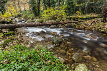 Landscape near Aldeanueva de la Vera, Caceres. Extremadura. Spain.
