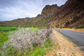 Scenic near Montagu, South Africa