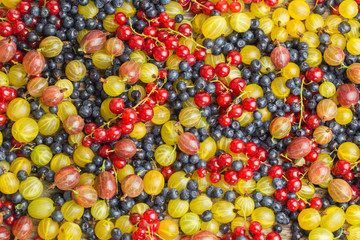 Of assorted Berry gooseberry blueberry red currants. Vitamin, bright background.