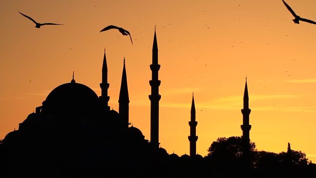 The mosque built by Suleiman the Magnificent. Istanbul, Turkey. Suleymaniye Mosque built by Suleiman the Magnificent in Istanbul