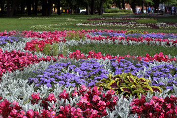Landscape design flowers