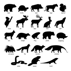 Collection of silhouettes of Forest wild animals