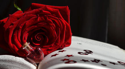 Romanzo d'amore