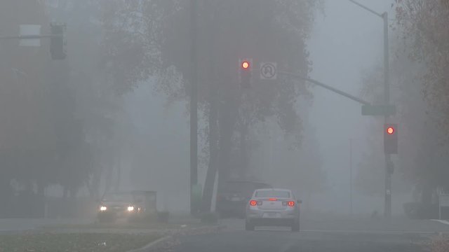 Commuters Driving in Fog