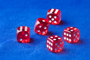 dice