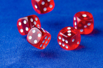 dice