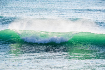 Green wave in ocean. Sunny day