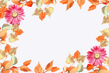 autumn leaves isolated on white background.