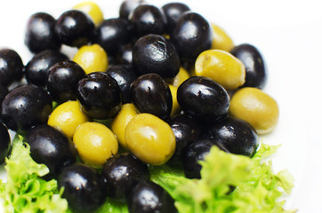 wet drops of black and green olives and lettuce on a table on a white background