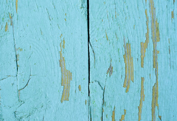 peeling green paint on the wall