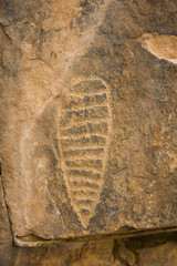 american native pictographs