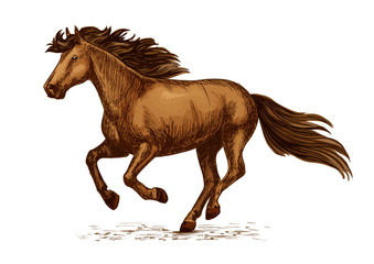 Naklejka na ściany i meble Arabian brown horse running on races vector sketch