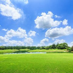 field of green grass and blue sky in summer day