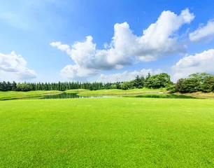 Fotobehang field of green grass and blue sky in summer day © ABCDstock