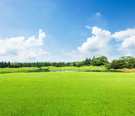 field of green grass and blue sky in summer day