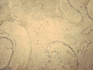 Abstract surface closeup background texture