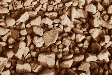 The stones on the beach.