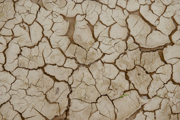 Cracked ground,Dry land.