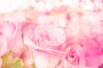 Obraz na płótnie Canvas close up sweet light pink on pink abstract lighting background