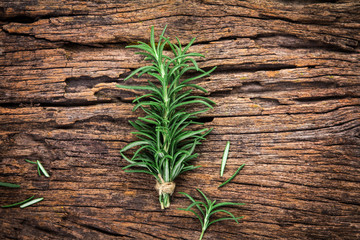 Obraz premium Fresh green Rosemary bound on a wooden board