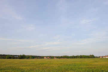 Natural meadow in spring