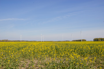 Bright blue sky moving and wind turbine