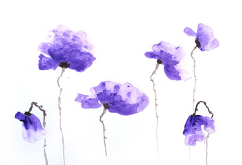 Fototapeta na wymiar Stylized poppy flowers painting on white, Impressionism style
