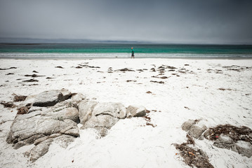 Lone man walking on a beach on a cloudy day.  Pebble Beach, Monterey, California, USA.
