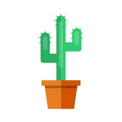 Cactus flat icon vector