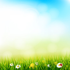 Spring sunny background