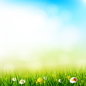 Spring sunny background