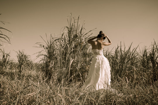 Beautiful Bride with white wedding dress in nature with sugar cane field background, romantic and picturesque photography