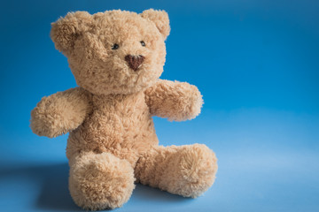 teddy bear on a plain colored background