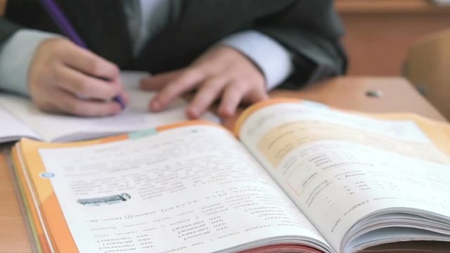 The pupil making home task at school