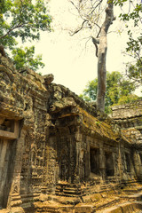 Angkor Wat. Temple. Khmer civilization. Siem Reap. Tourism in Cambodia