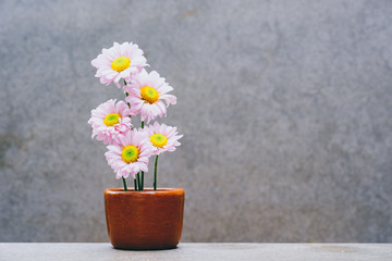 Little flower in little pot, plant decoration in home or office