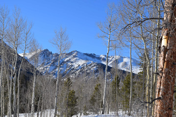 Silverthorne Lanscape