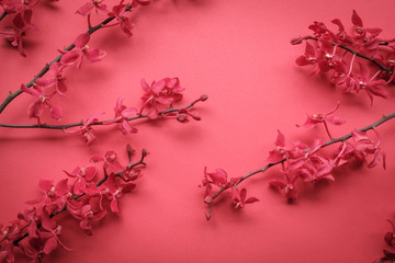 Top view accessories Chinese new year festival decorations.red packet