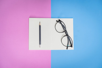 Flat lay, top view office table desk. feminine desk workspace with succulent, glasses, diary on pink and blue background, new idea