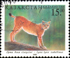 KAZAKHSTAN - CIRCA 1998: Postal stamp printed in Kazakhstan shows Lynx. Fauna of Kazakhstan - "family cat"