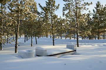 fallen snow in a city park