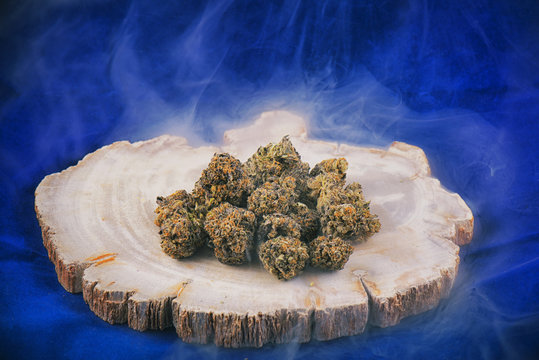 cannabis buds (deep purple strain) - medical marijuana dispensar